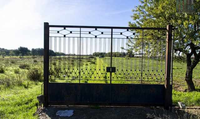 Le antiche e sopravvissute strade rurali di Bari, l dove il tempo si  fermato